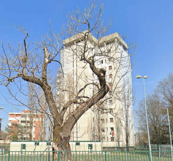 Foto annuncio 7