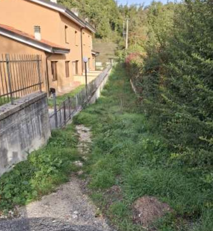 Foto annuncio 7