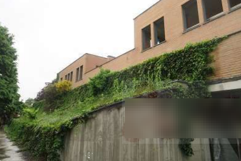 Foto annuncio 10