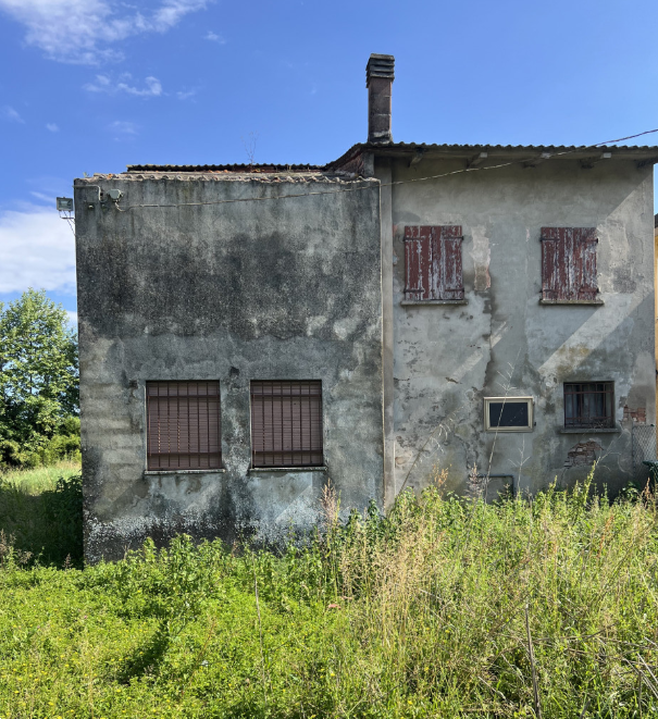 Foto annuncio 5