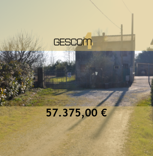 Foto annuncio 1
