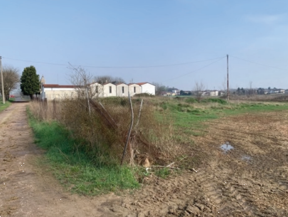 Foto annuncio 6