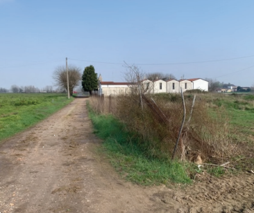 Foto annuncio 7
