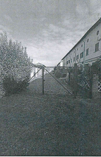 Foto annuncio 11