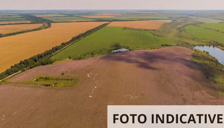 Foto annuncio 10