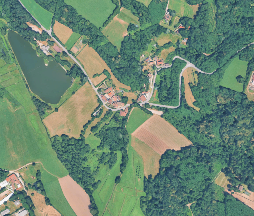 Foto annuncio 1