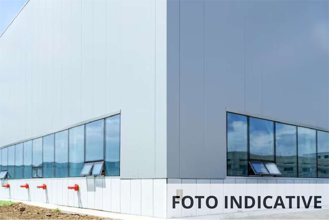 Foto annuncio 14