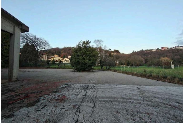 Foto annuncio 7