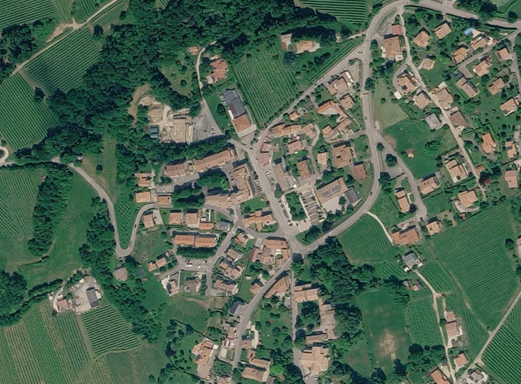 Foto annuncio 2