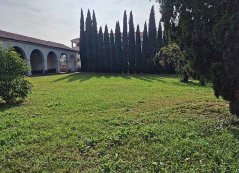 Foto annuncio 28