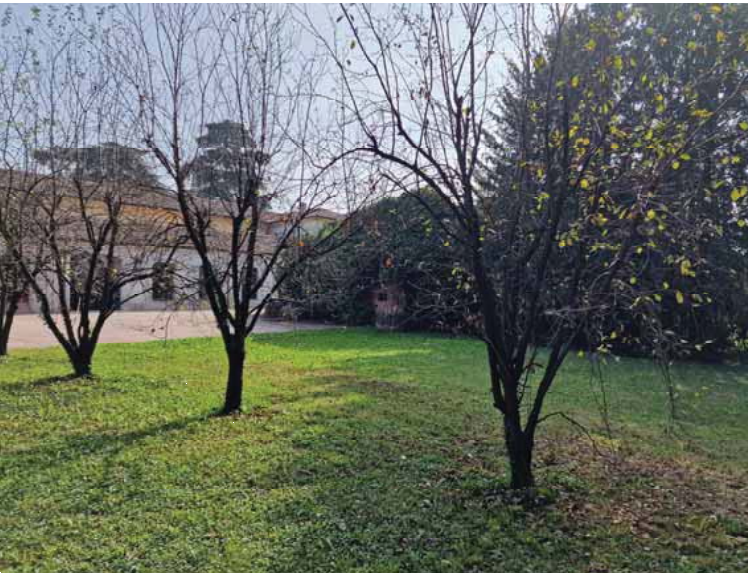Foto annuncio 36