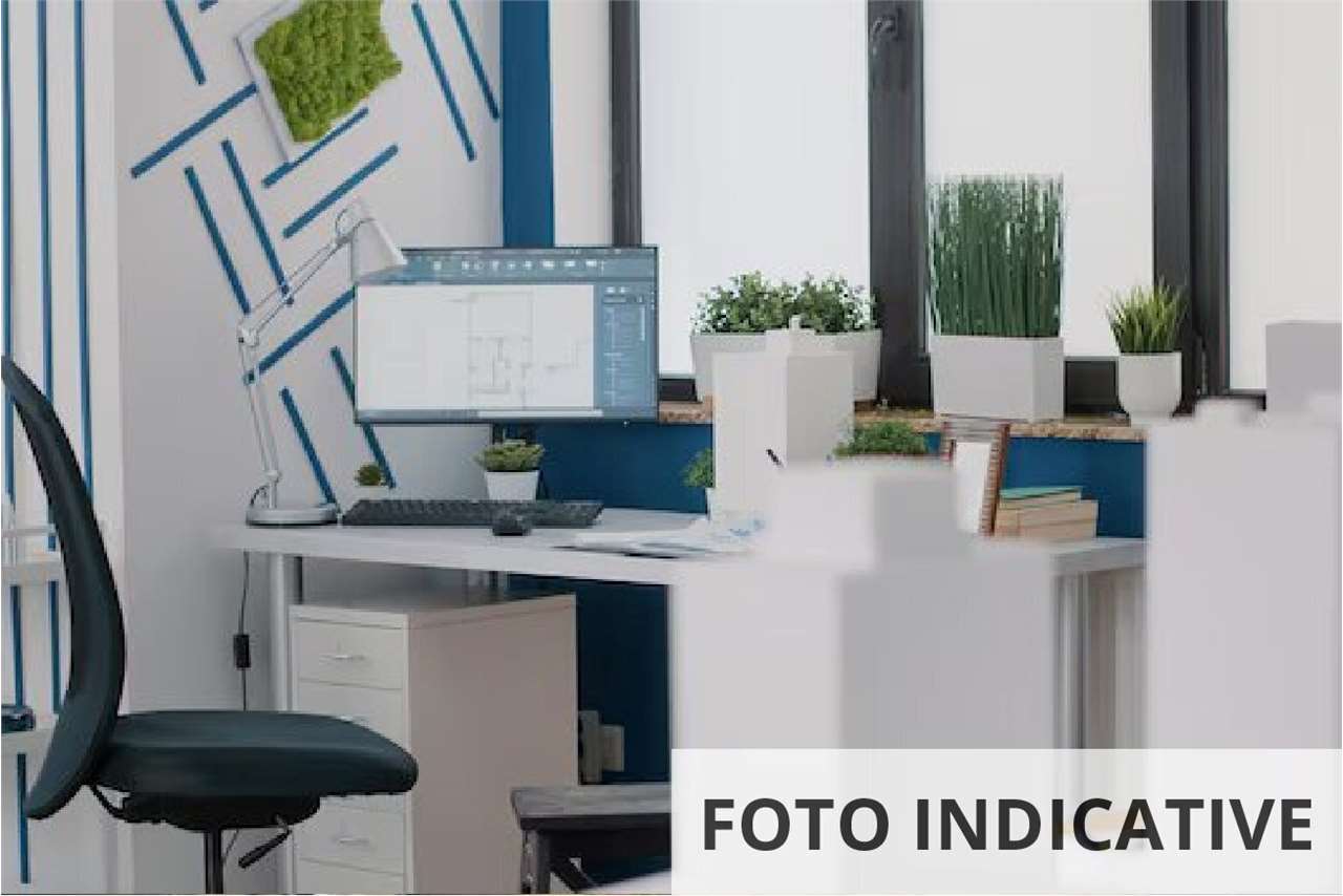 Foto annuncio 12