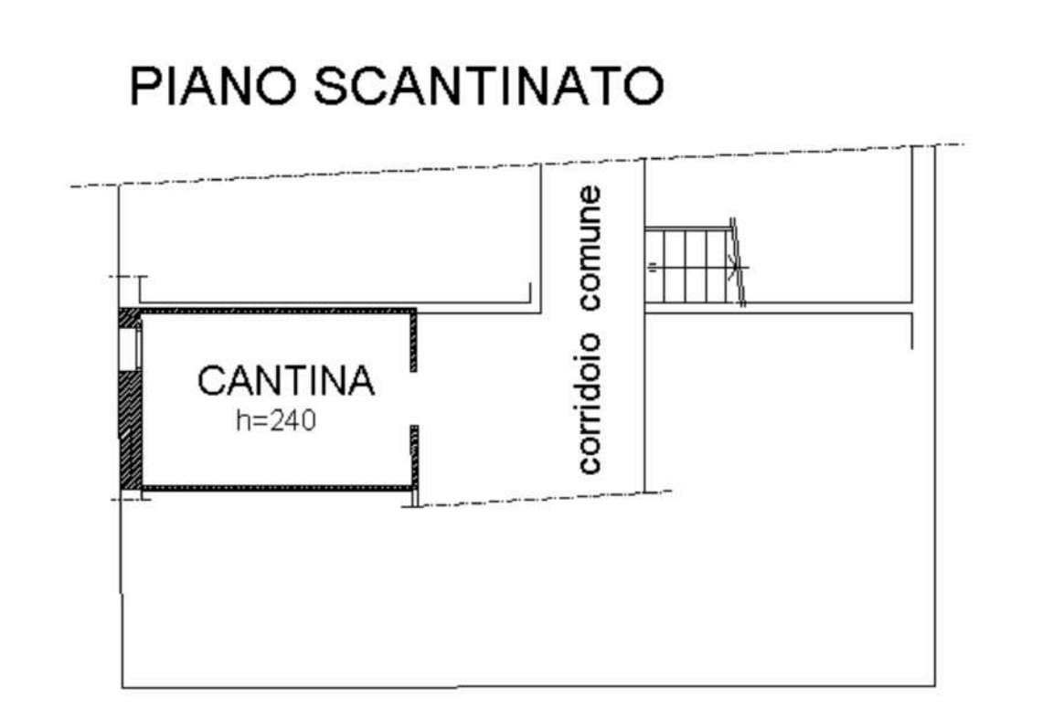 Foto annuncio 24