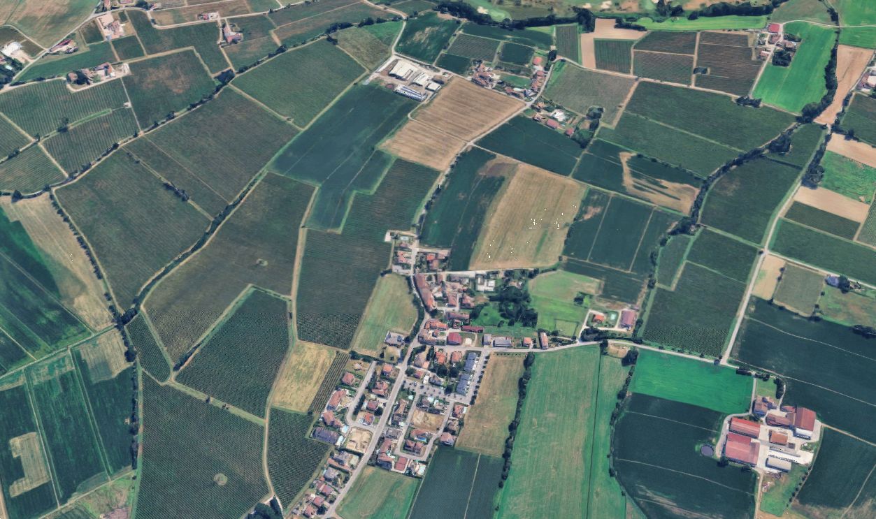 Foto annuncio 10