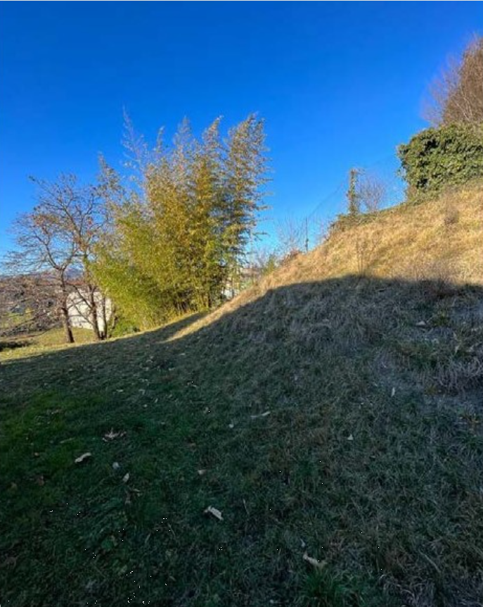 Foto annuncio 10