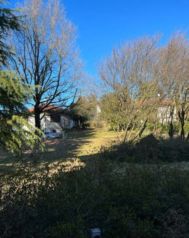 Foto annuncio 6