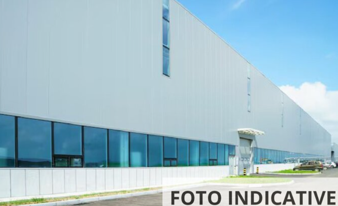 Foto annuncio 3