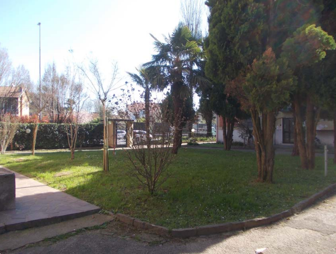 Foto annuncio 5