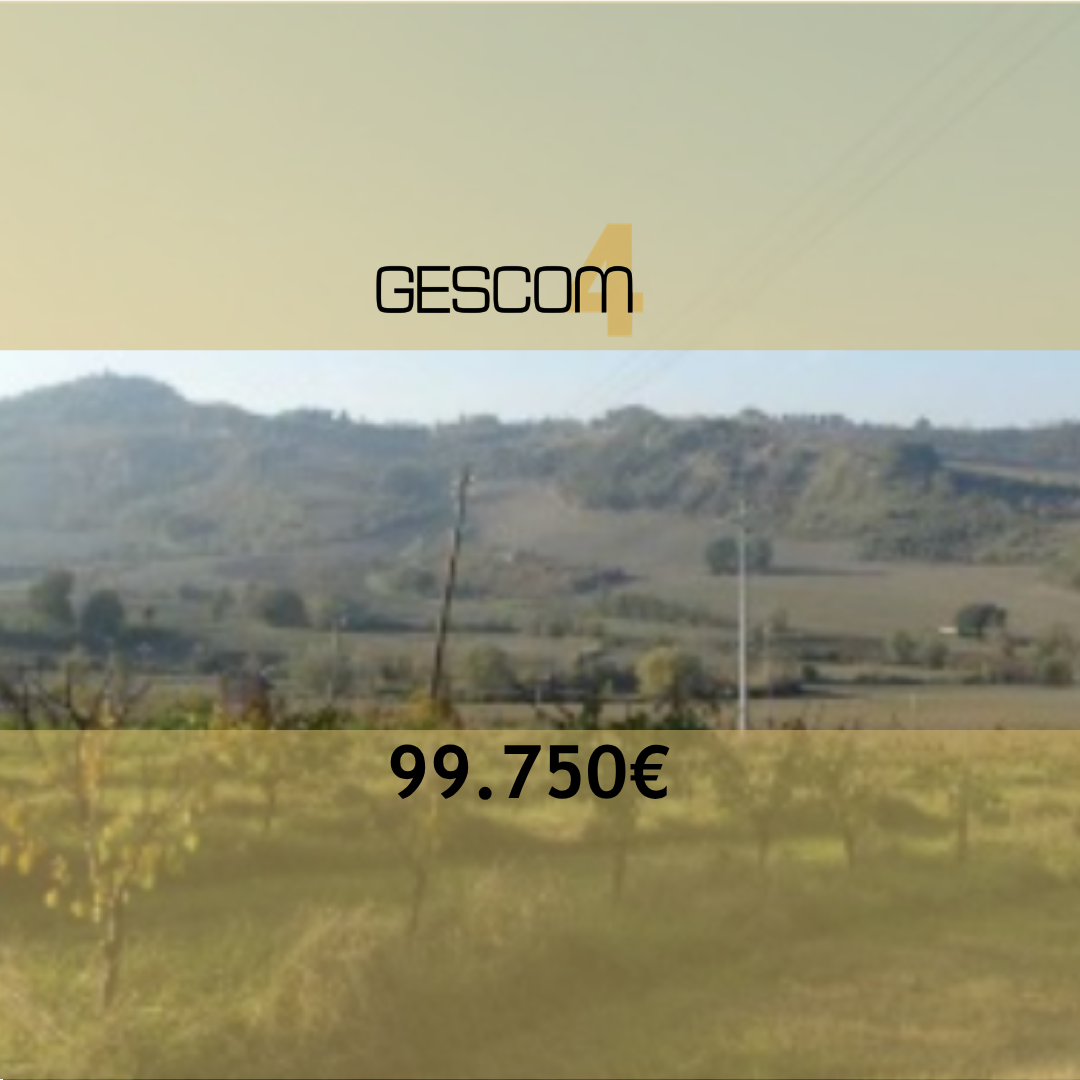 Foto annuncio 1