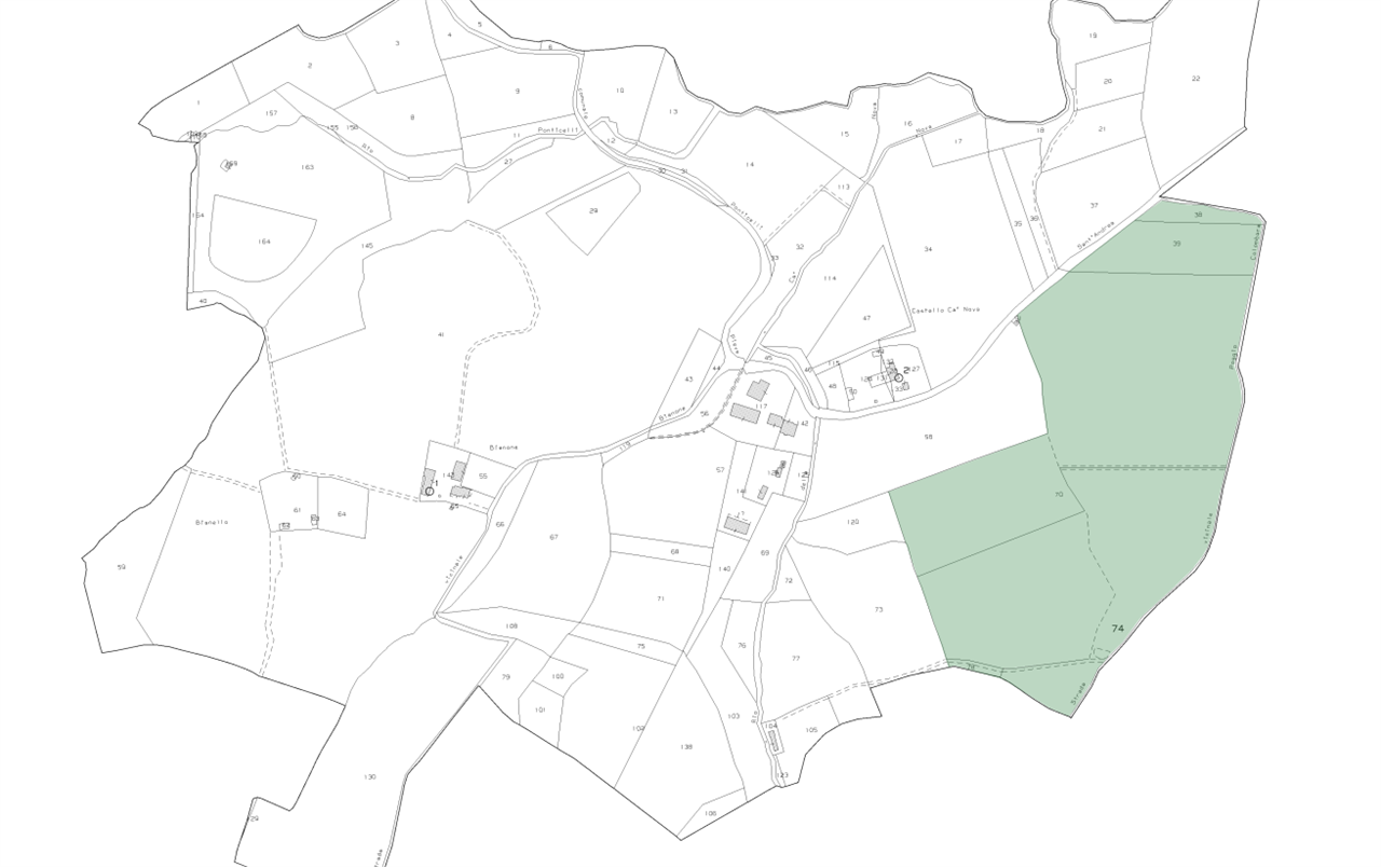 Foto annuncio 11