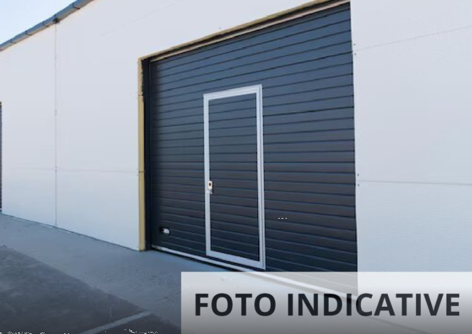 Foto annuncio 5
