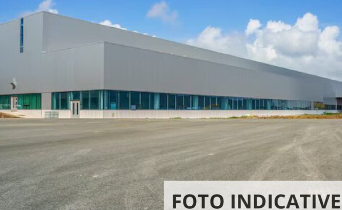 Foto annuncio 3