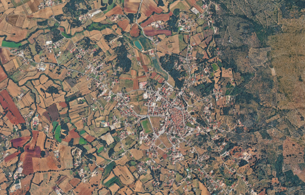 Foto annuncio 5