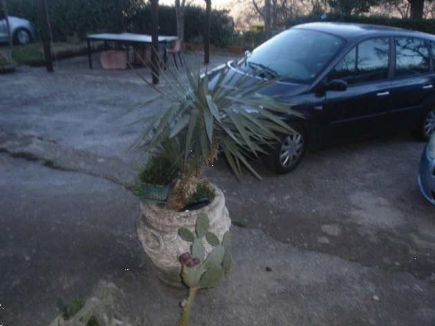 Foto annuncio 3