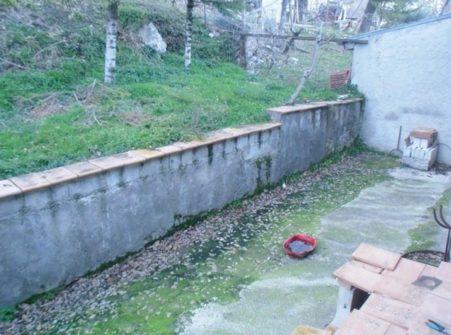 Foto annuncio 4