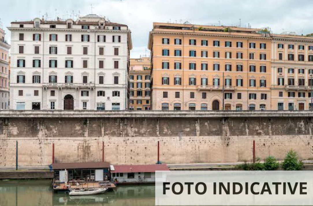 Foto annuncio 13