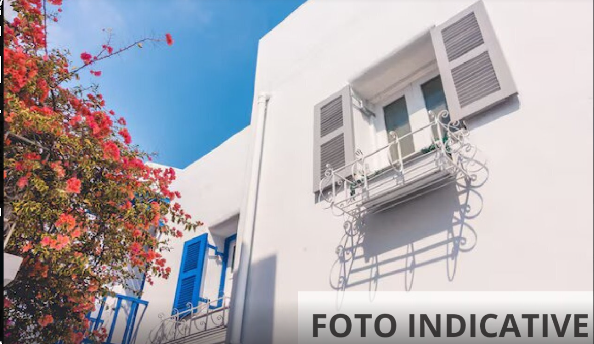 Foto annuncio 19
