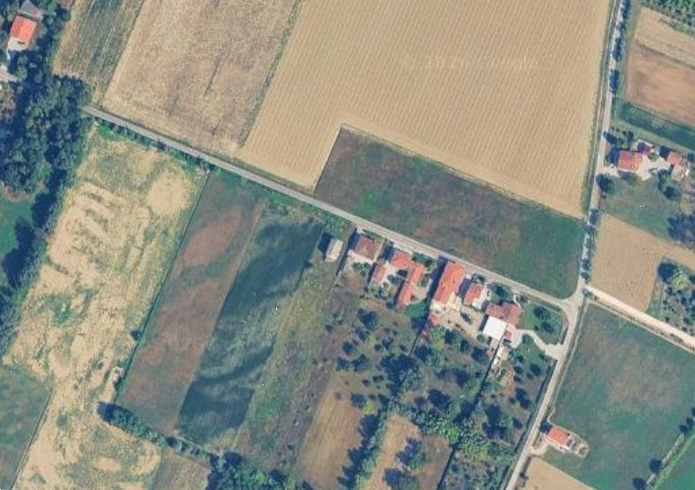 Foto annuncio 19