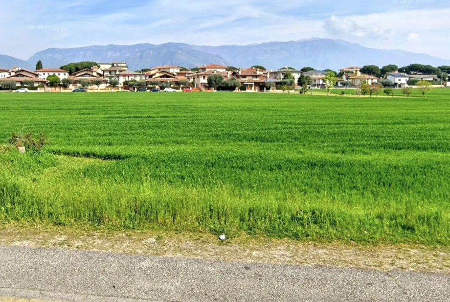 Foto annuncio 7