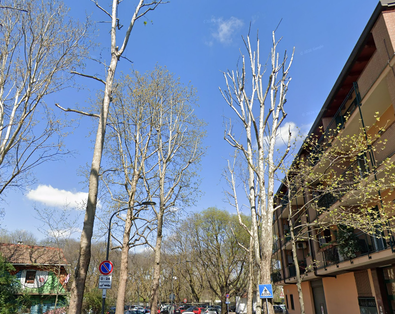 Foto annuncio 6