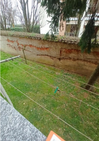 Foto annuncio 26