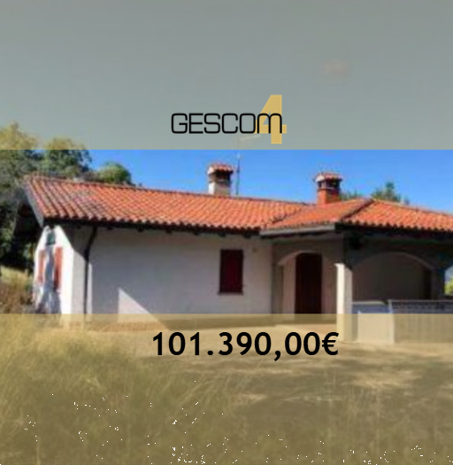 Foto annuncio 1