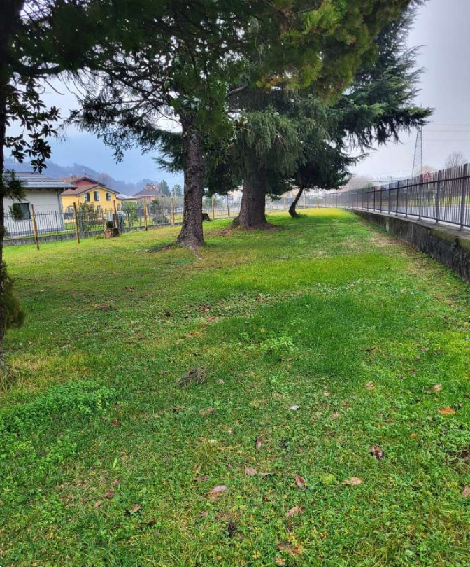 Foto annuncio 10