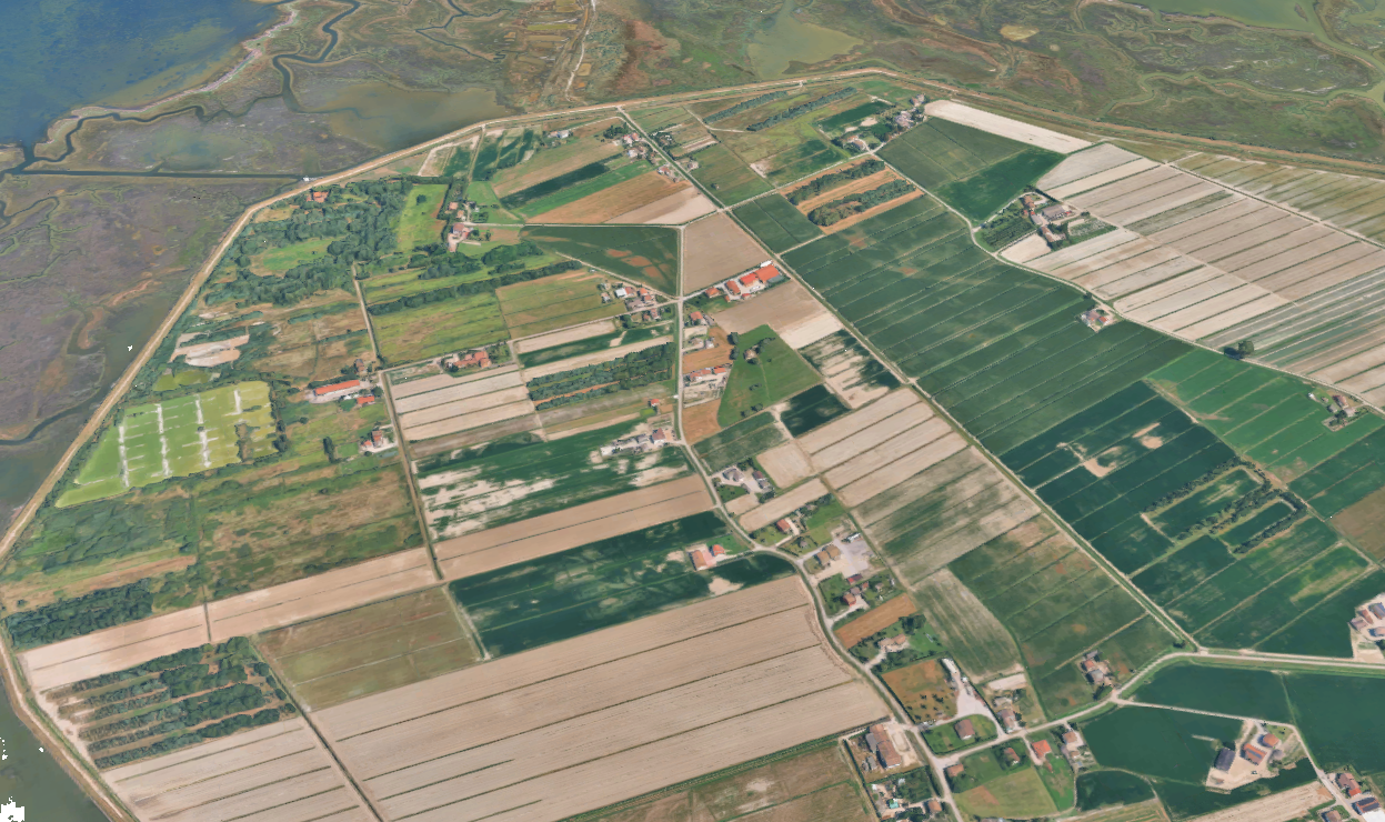 Foto annuncio 11