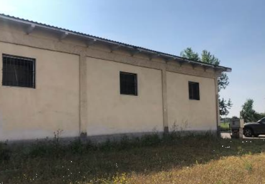 Foto annuncio 5