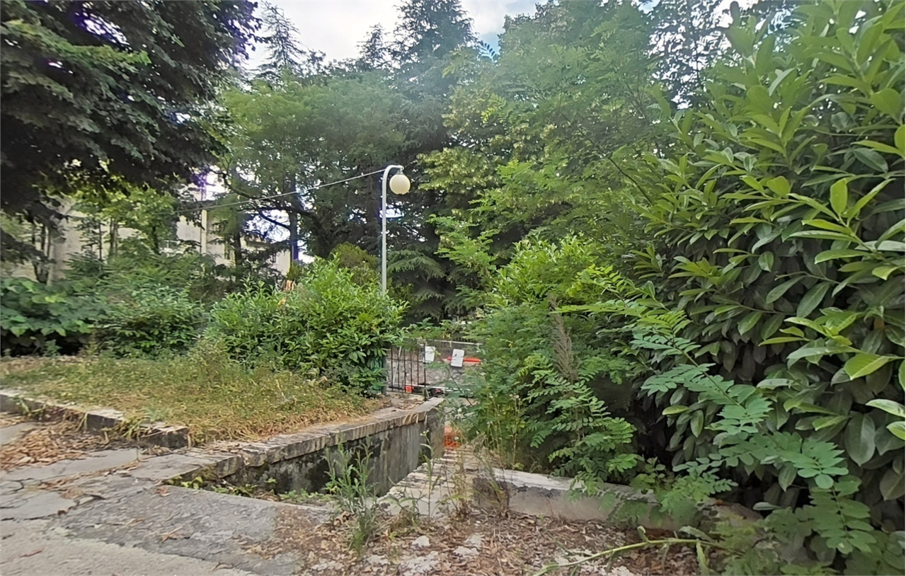 Foto annuncio 13