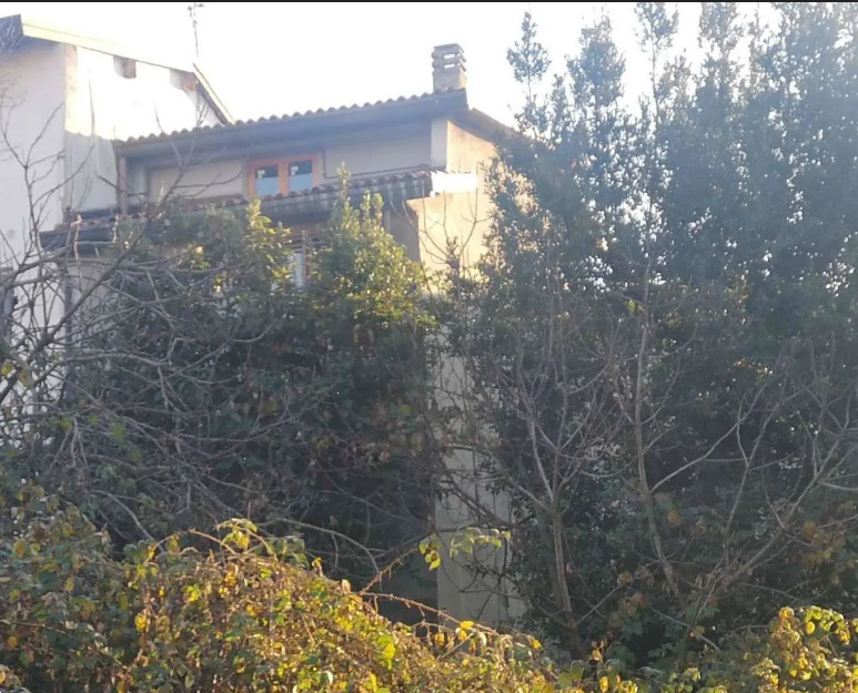 Foto annuncio 6