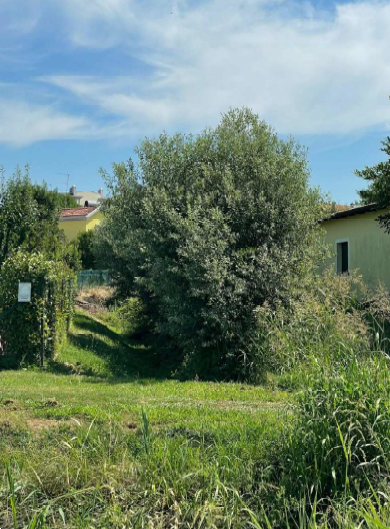Foto annuncio 5