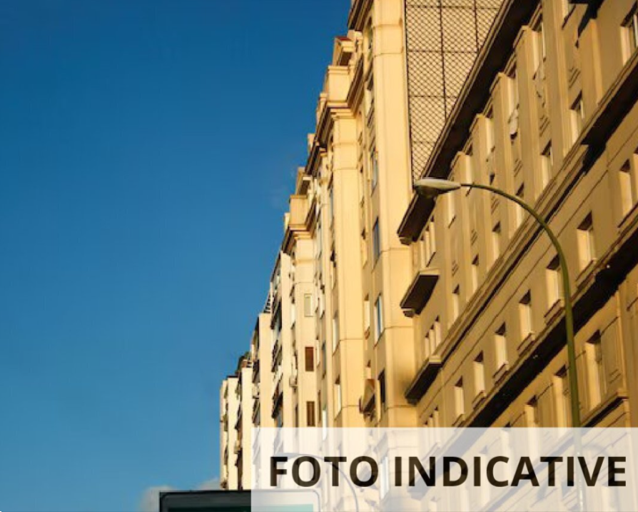 Foto annuncio 13