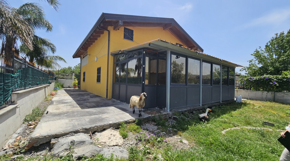 Foto annuncio 5