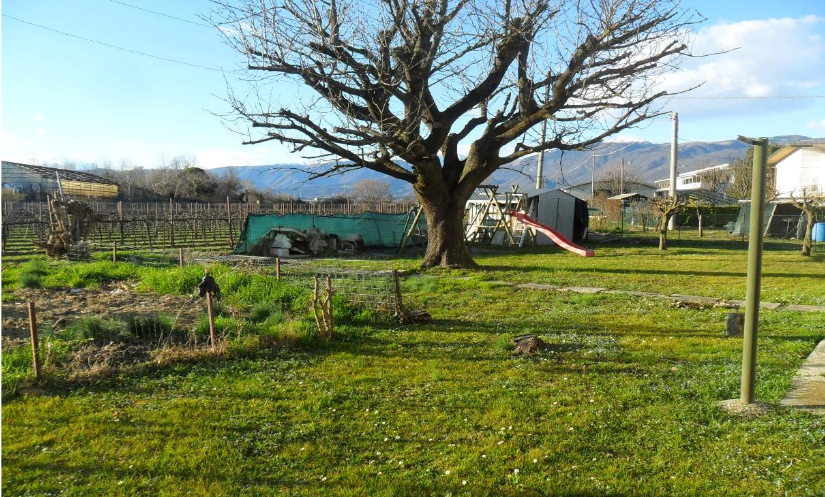 Foto annuncio 3