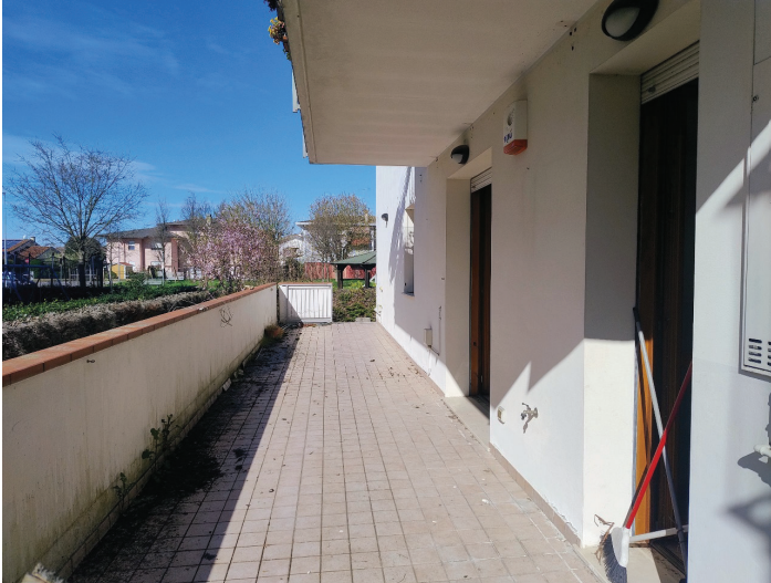 Foto annuncio 5