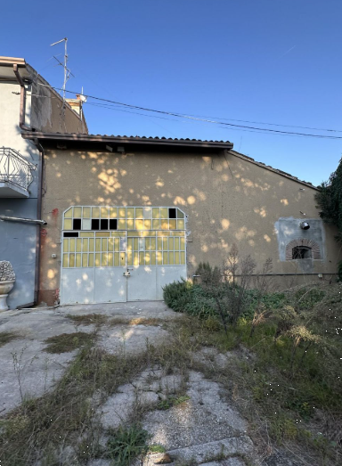 Foto annuncio 5