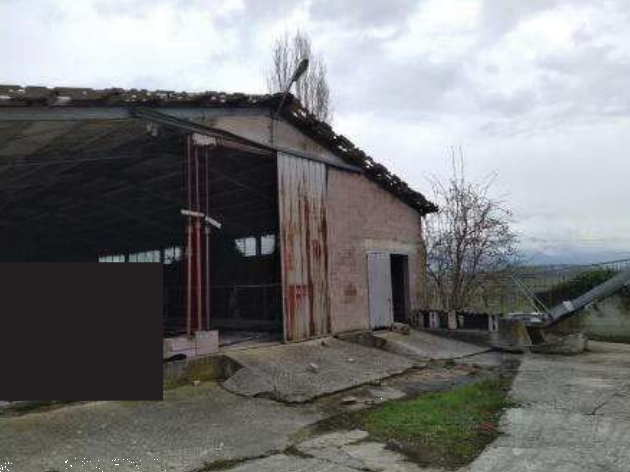 Foto annuncio 23
