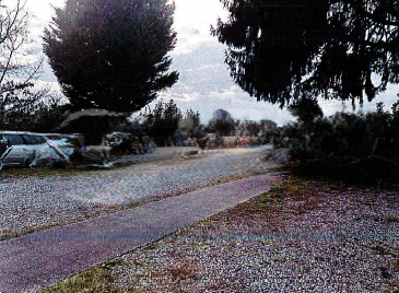 Foto annuncio 28