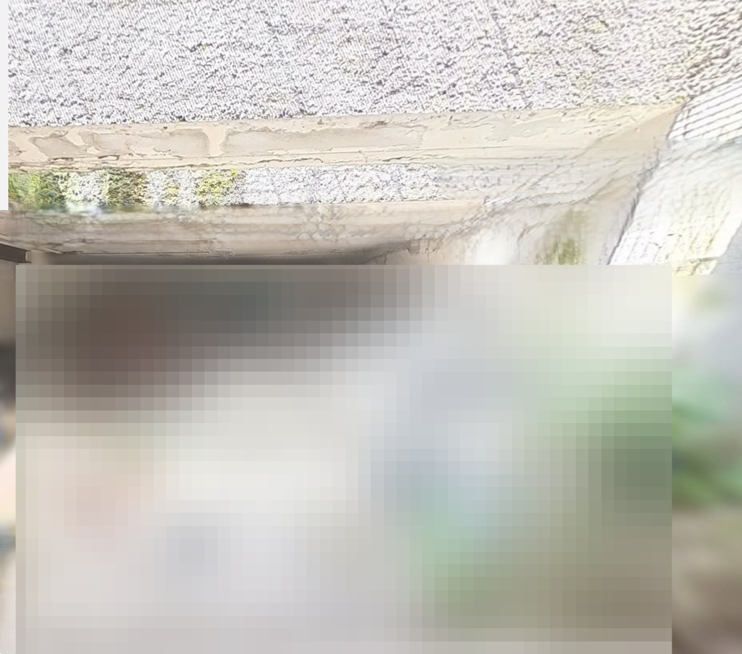 Foto annuncio 12